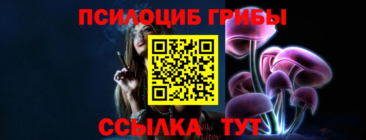Галлюциногенные грибы Psilocybine cubensis Соль-Илецк